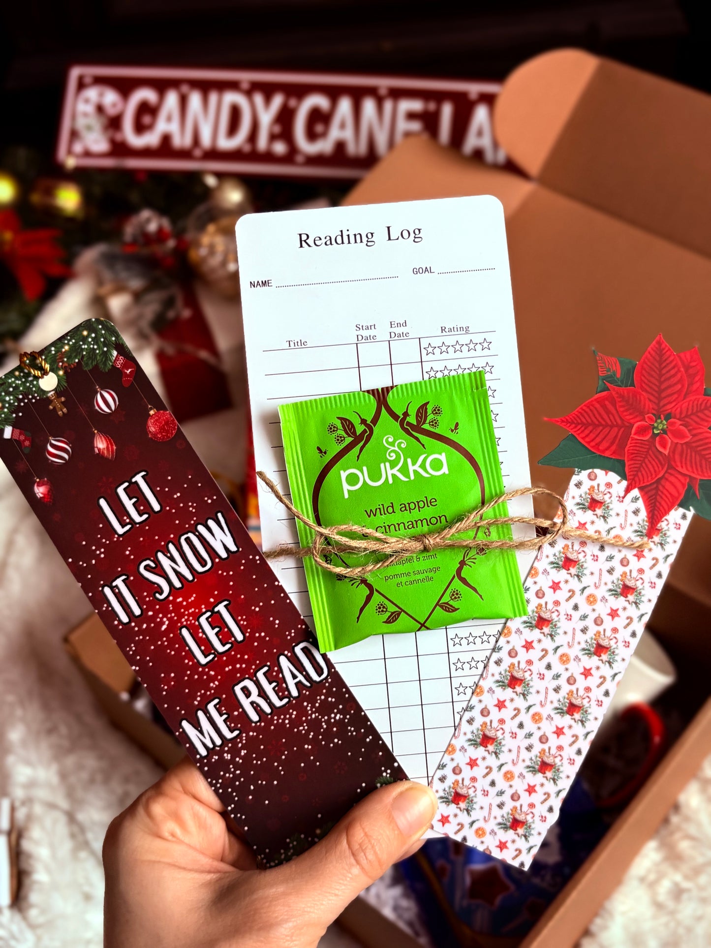 CHRISTMAS Blind Date With A Book Gift Box
