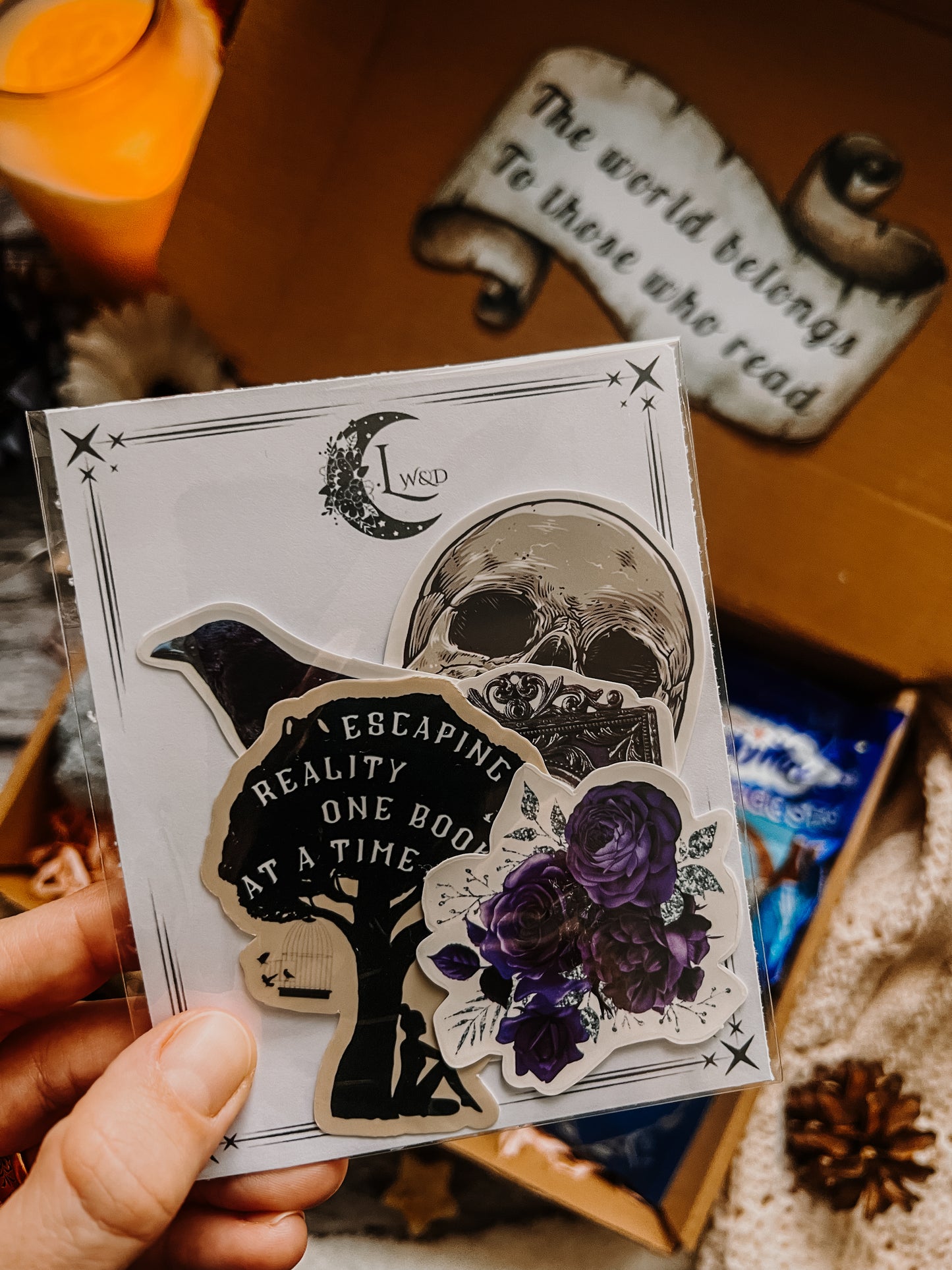 THRILLER Blind Date With A Book Box